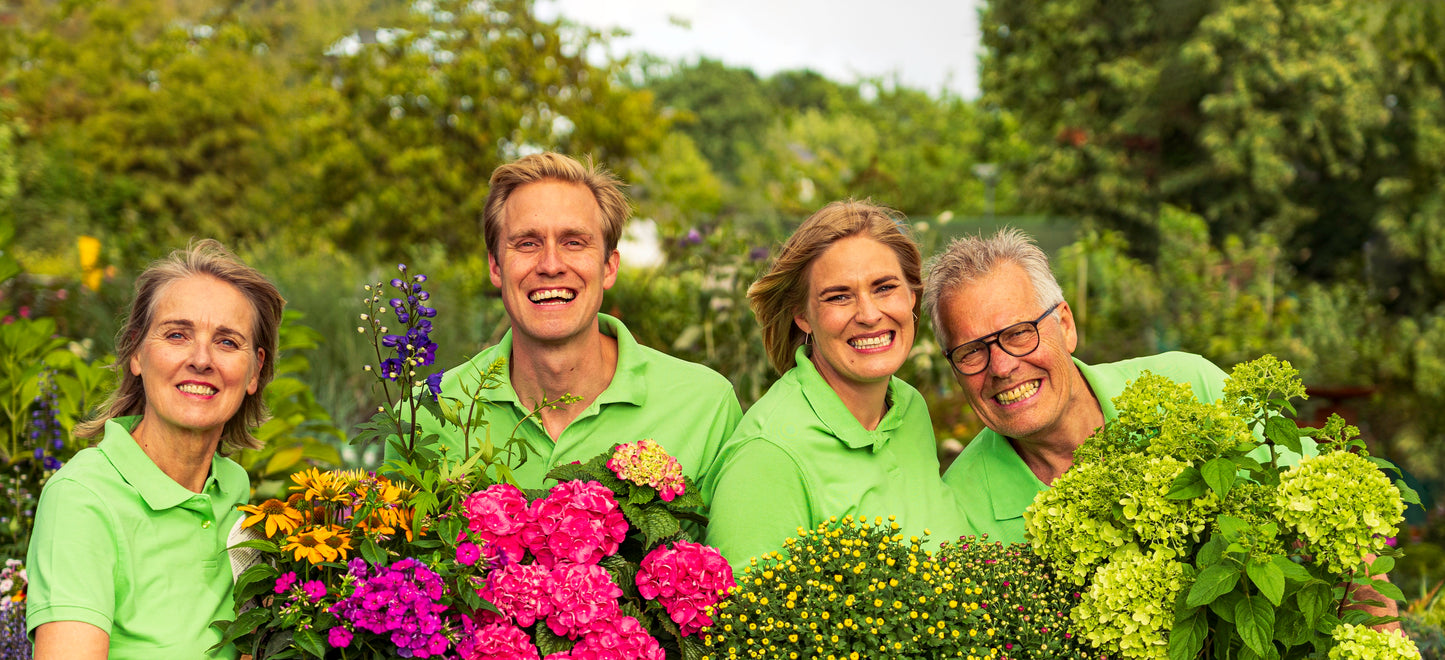 Vier lachende Personen in grünen Poloshirts mit bunten Blumen im Garten
Ask ChatGPT