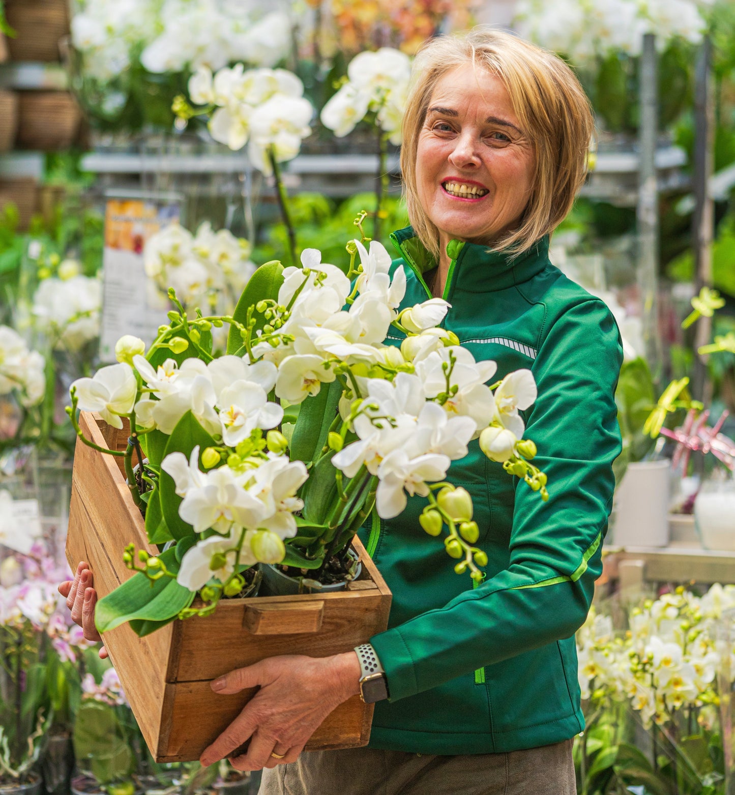 Schouten-Tradition: Orchideenumtopf-Aktion 🌸