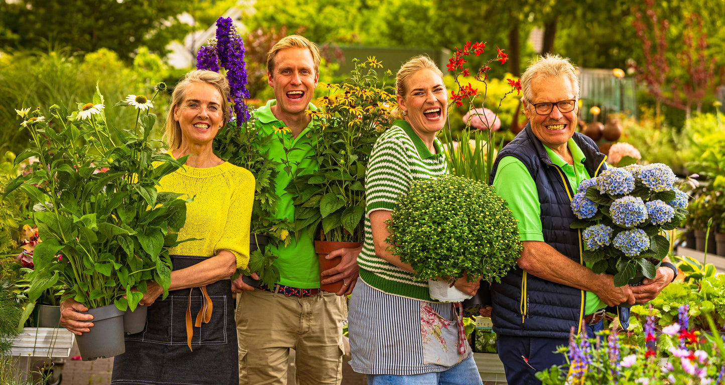 Rabattwochen bei Schouten - 10 Tage lang Knaller-Angebote!