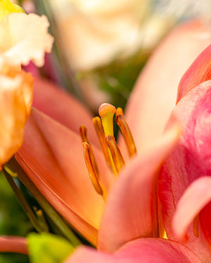 
                  
                    Blumenstrauß "Boho Style"

                  
                