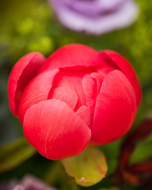 
                  
                    Blumenstrauß "Wonderful Spring"
                  
                