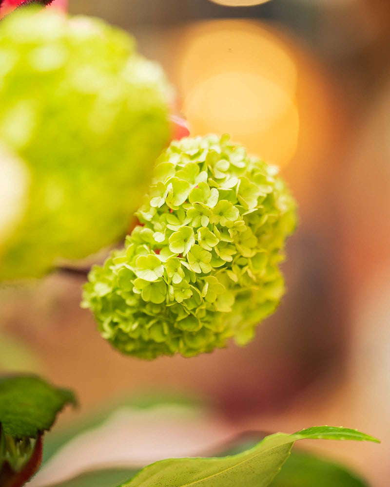 
                  
                    Blumenstrauß "Wonderful Spring"
                  
                