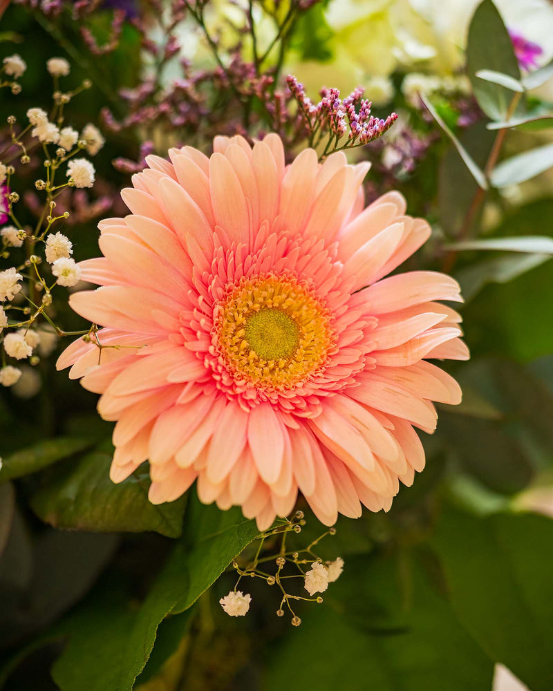 
                  
                    Blumenstrauß "Süße Verführung"
                  
                