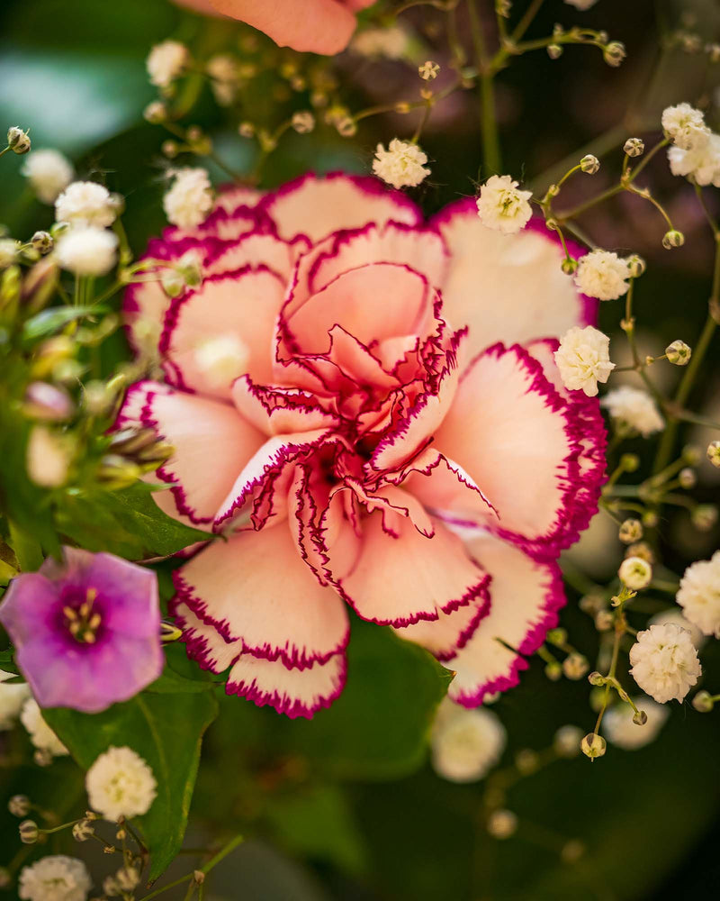 
                  
                    Blumenstrauß "Süße Verführung"
                  
                