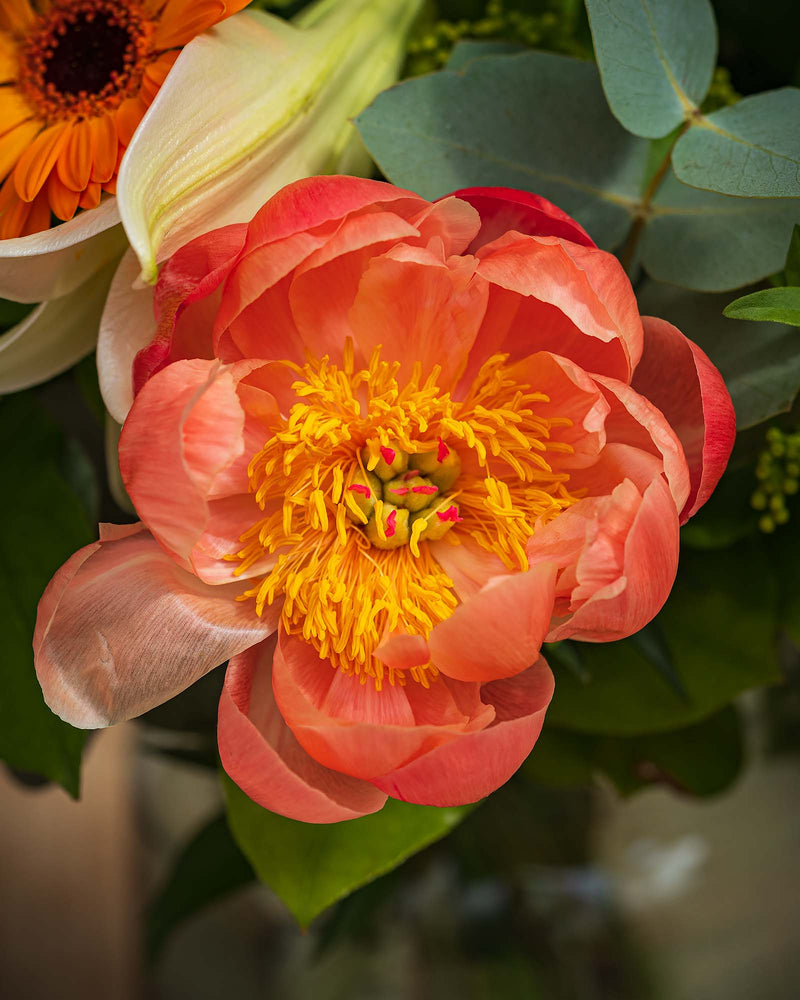 Blumenstrauß "Wiesenzauber"