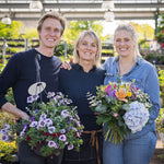 Schouten Blumen und Pflanzen