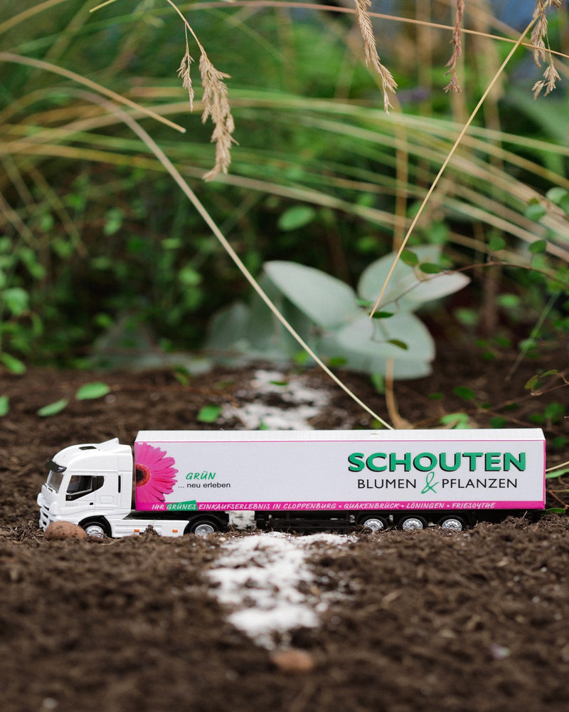 Schouten Blumen und Pflanzen
