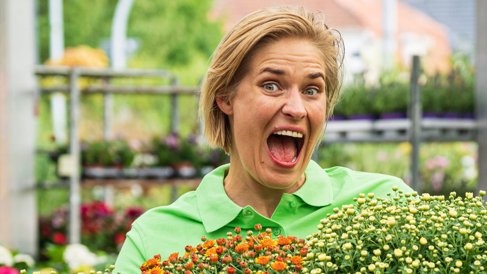 Schouten Blumen und Pflanzen