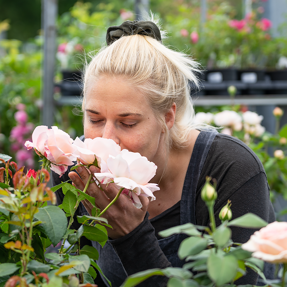 Schouten Blumen und Pflanzen