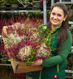 Schouten Blumen und Pflanzen