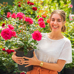 Schouten Blumen und Pflanzen
