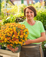 Topfchrysantheme oder Topfaster für aussen blühen bis in den Herbst hinein. die Pflanze ist nicht winterhart.