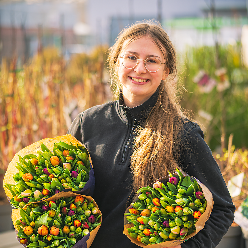 Schouten Blumen und Pflanzen