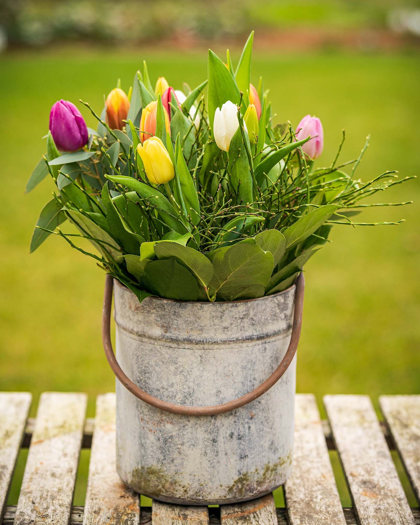 Bunter Tulpenstrauß mit Heidelbeerkraut unt Eukalyptus