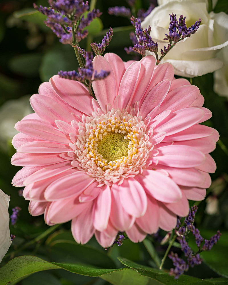 
                  
                    Blumenstrauß Glücksgefühl Valentinstag Muttertag
                  
                