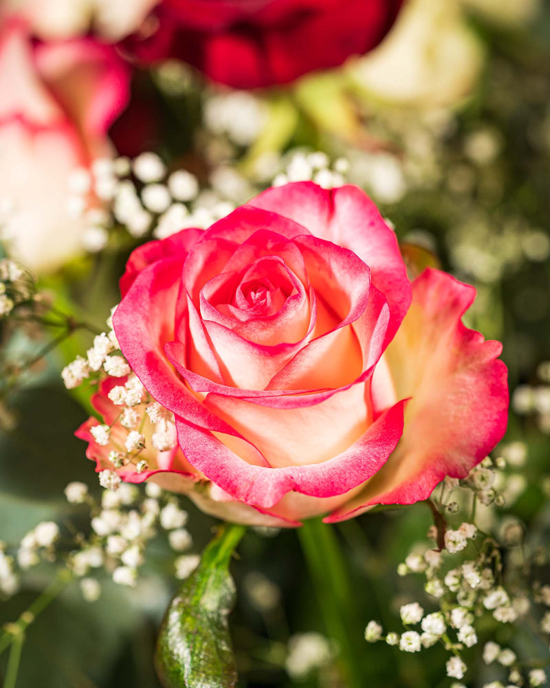 
                  
                    Rosenstrauß Gentleman mit pinker Rose
                  
                