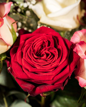 
                  
                    Rosenstrauß Gentleman mit roter Rose
                  
                