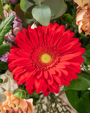 
                  
                    Blumenstrauß Glücksgefühl Valentinstag Muttertag
                  
                