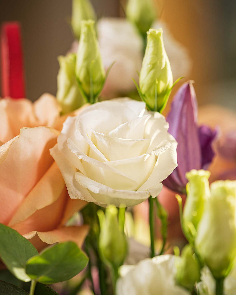 
                  
                    Blumenstrauß Glücksgefühl Valentinstag Muttertag
                  
                