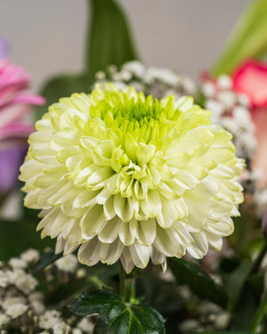 
                  
                    Blumenstrauß "Der Romantische"
                  
                