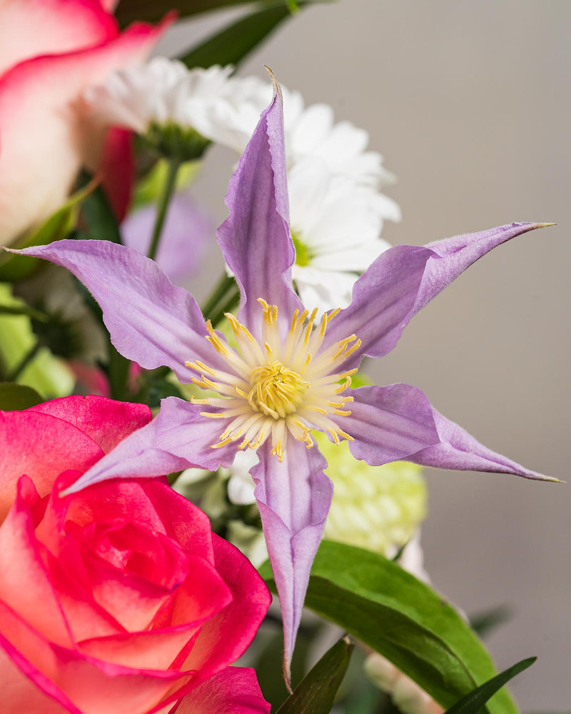 
                  
                    Blumenstrauß "Der Romantische"
                  
                