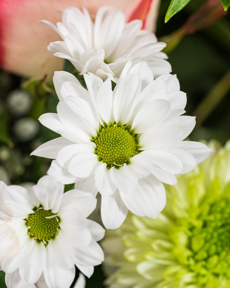 
                  
                    Blumenstrauß "Der Romantische"
                  
                
