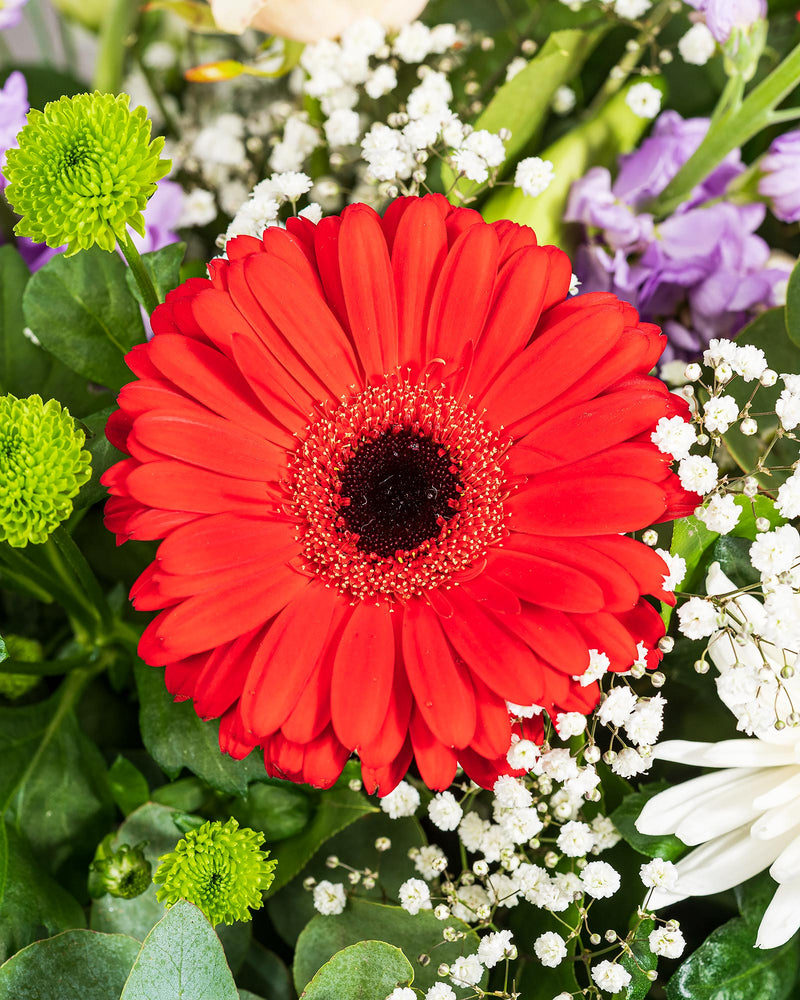 
                  
                    Blumenstrauß "Lieblingsmensch"
                  
                