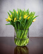 Frische Tulpen (50 Stück) - Gelb
