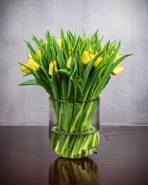 
                  
                    Frische Tulpen (50 Stück) - Gelb
                  
                