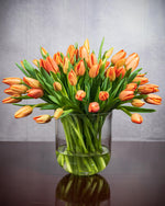 Frische Tulpen (50 Stück) - Orange
