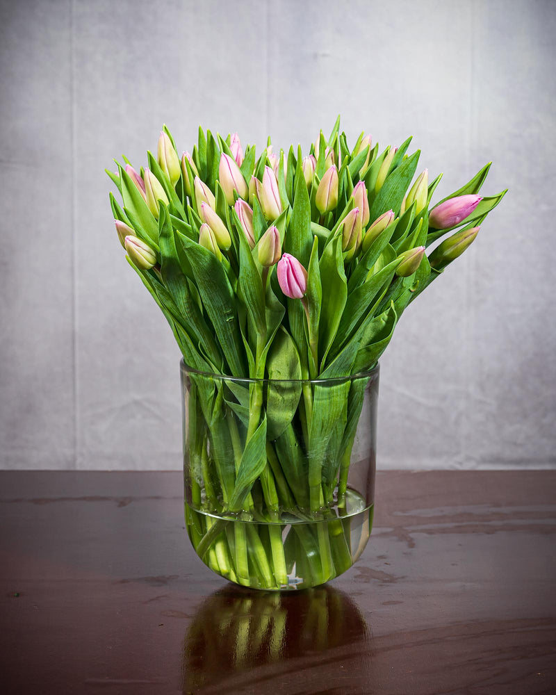 Frische Tulpen (50 Stück) - Rosa