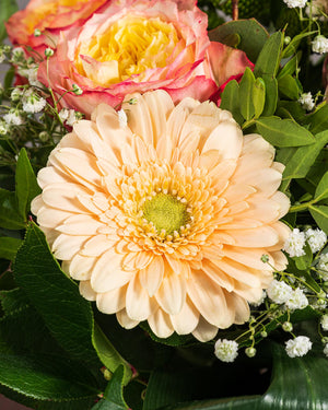 
                  
                    Sträußchen "Peachy"
                  
                