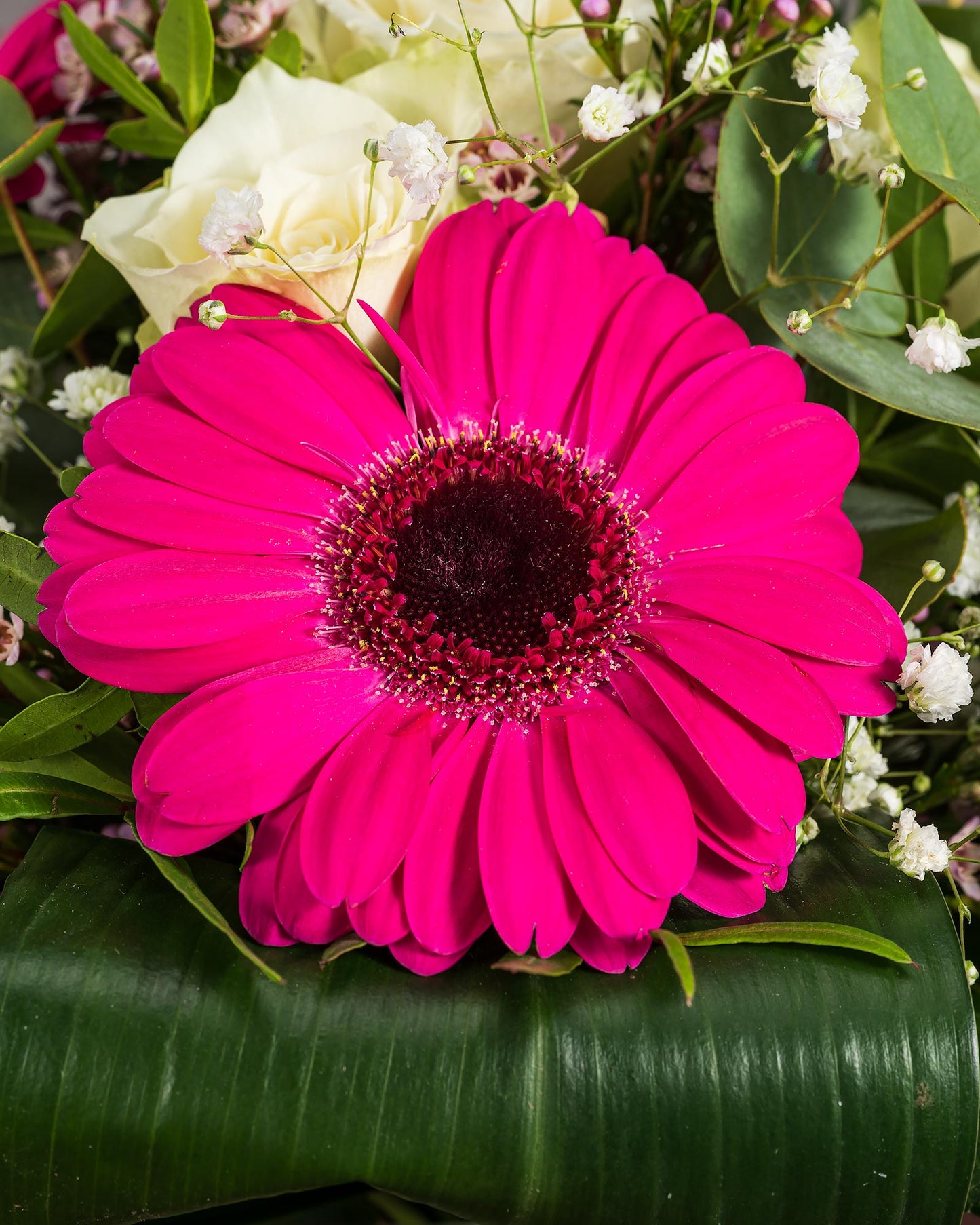 Nahaufnahme einer pinken Gerbera mit weißen Rosen und Schleierkraut im Hintergrund